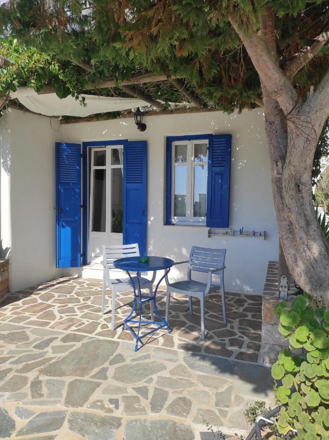 Pensiune Le Grand Bleu